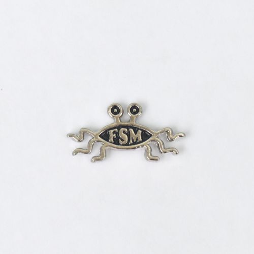 FSM Lapel Pin